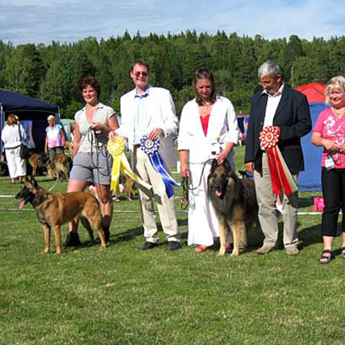 Utställning
